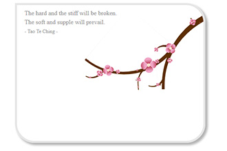 CSS3 Cherry Blossomge