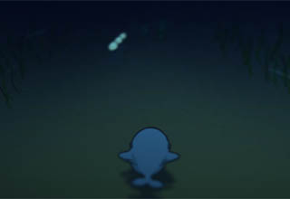One Whale Trip